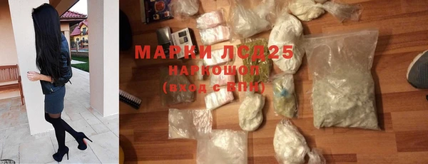 мяу мяу мука Аркадак
