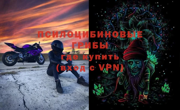мяу мяу мука Аркадак
