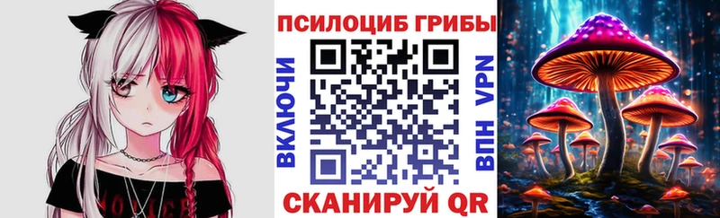 Галлюциногенные грибы ЛСД  Купить закладки  Выборг 