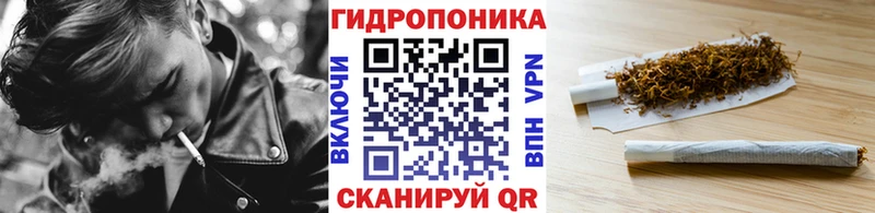 Купить  Выборг  Шишки марихуана планчик 